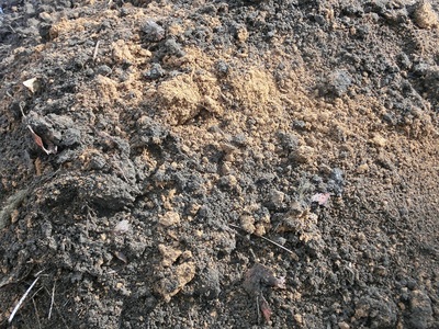 土壌.jpg