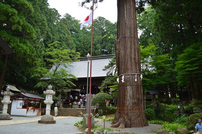 浅間神社.JPG