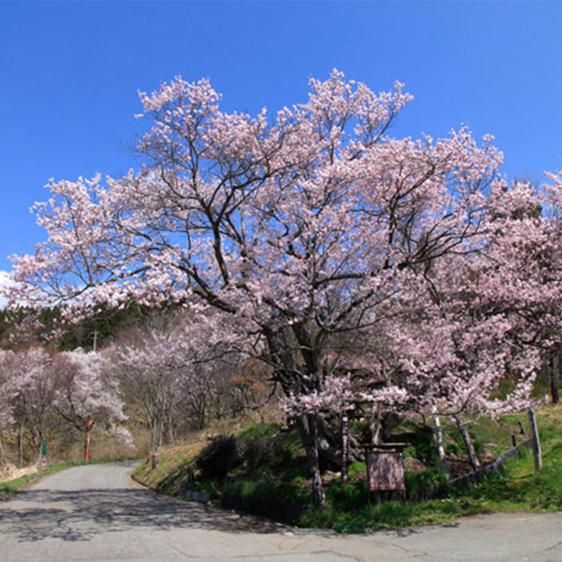 小田切