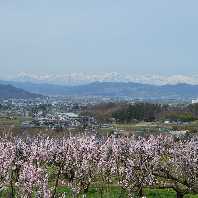 松代豊栄