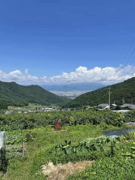 梅雨明け（若穂地区　北村）