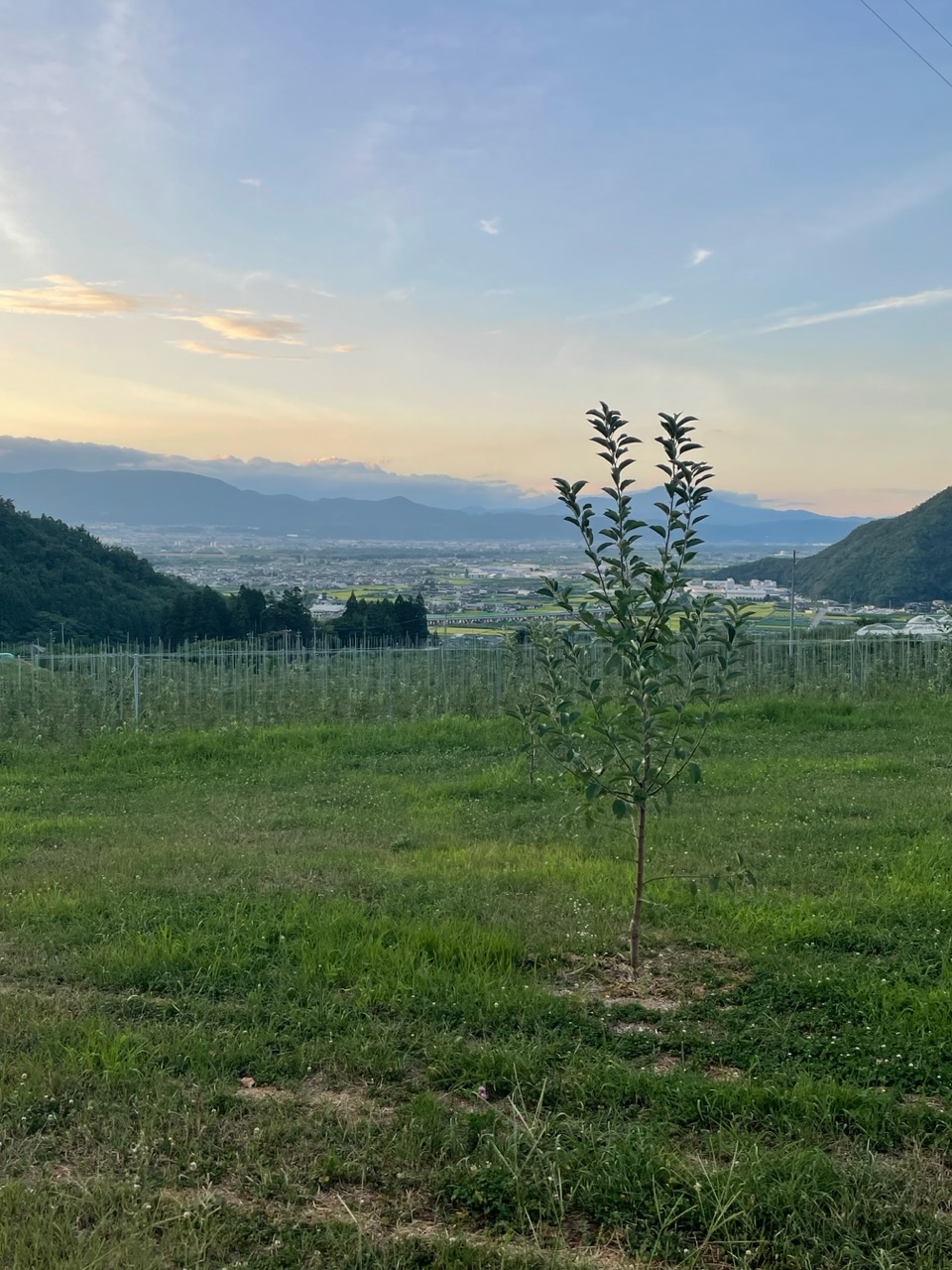 長野市地域おこし協力隊着任ご挨拶（若穂地区 北村）