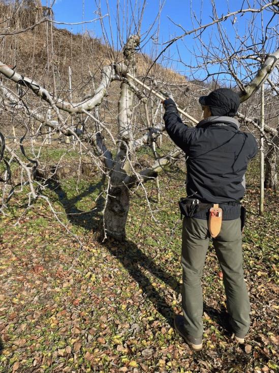 本年も宜しくお願い致します（信更地区　梅野）