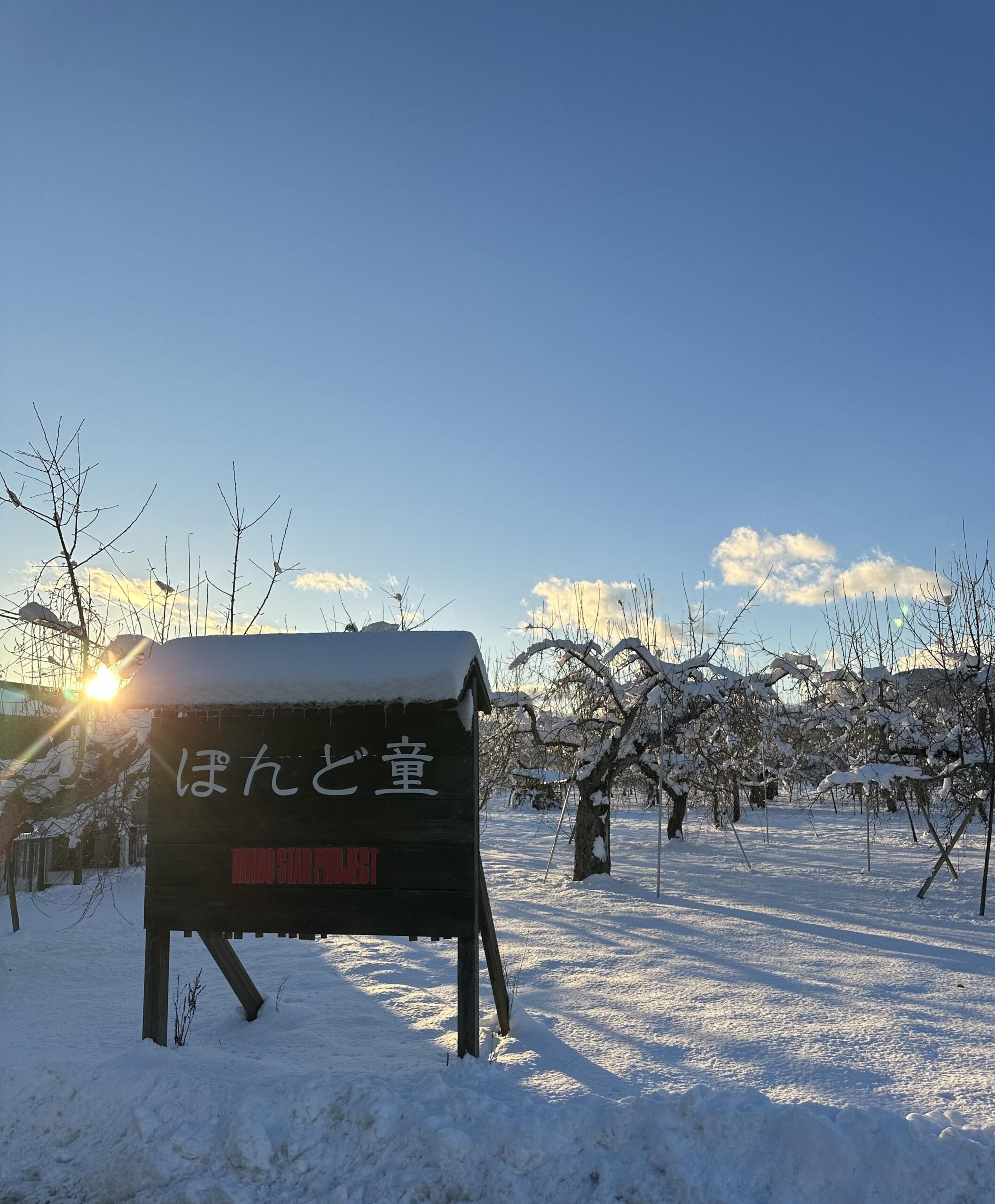 りんごをつくる（長沼地区　茂垣）