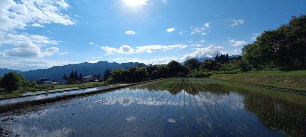 今年もこの季節（戸隠地区　加藤）