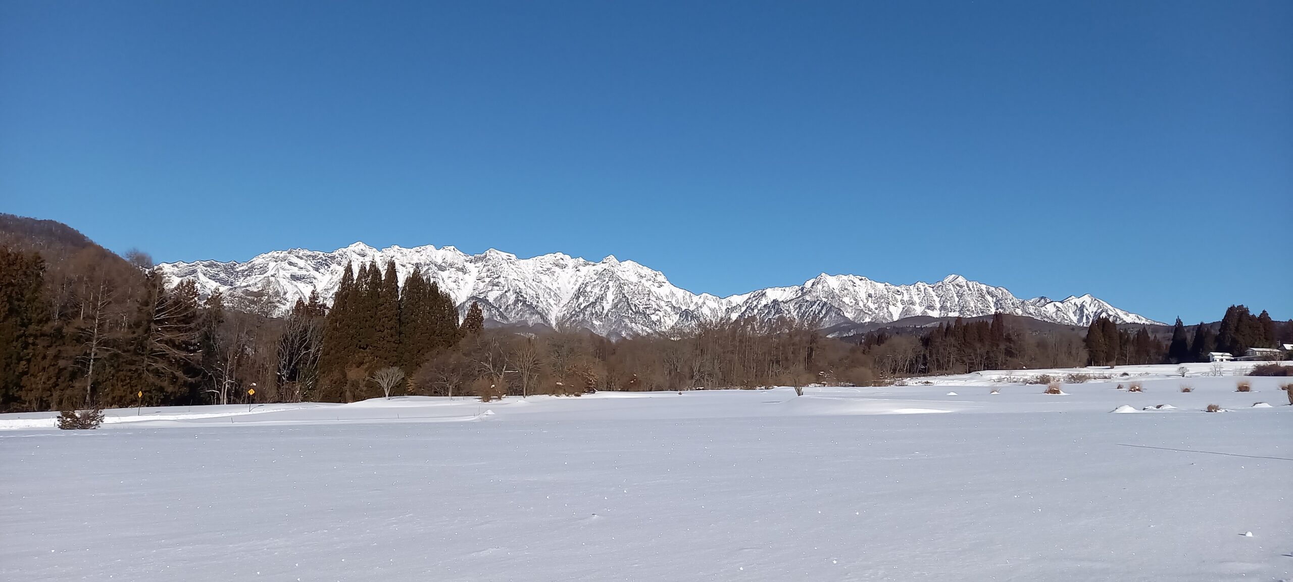 今年の”初めて”探し（戸隠地区　加藤）