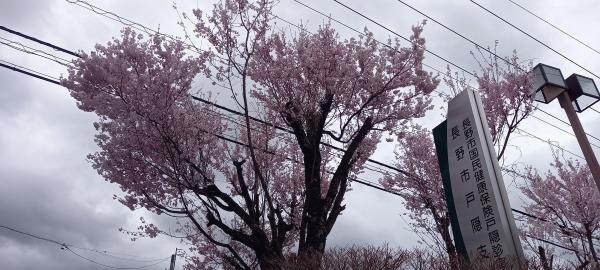 戸隠の春は長い（戸隠地区　加藤）