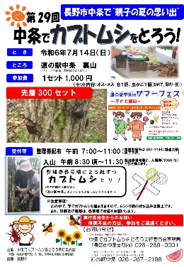 中条地区の恒例イベント『中条でカブトムシをとろう』開催