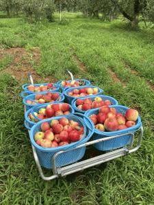 食品ロス（長沼地区　茂垣）