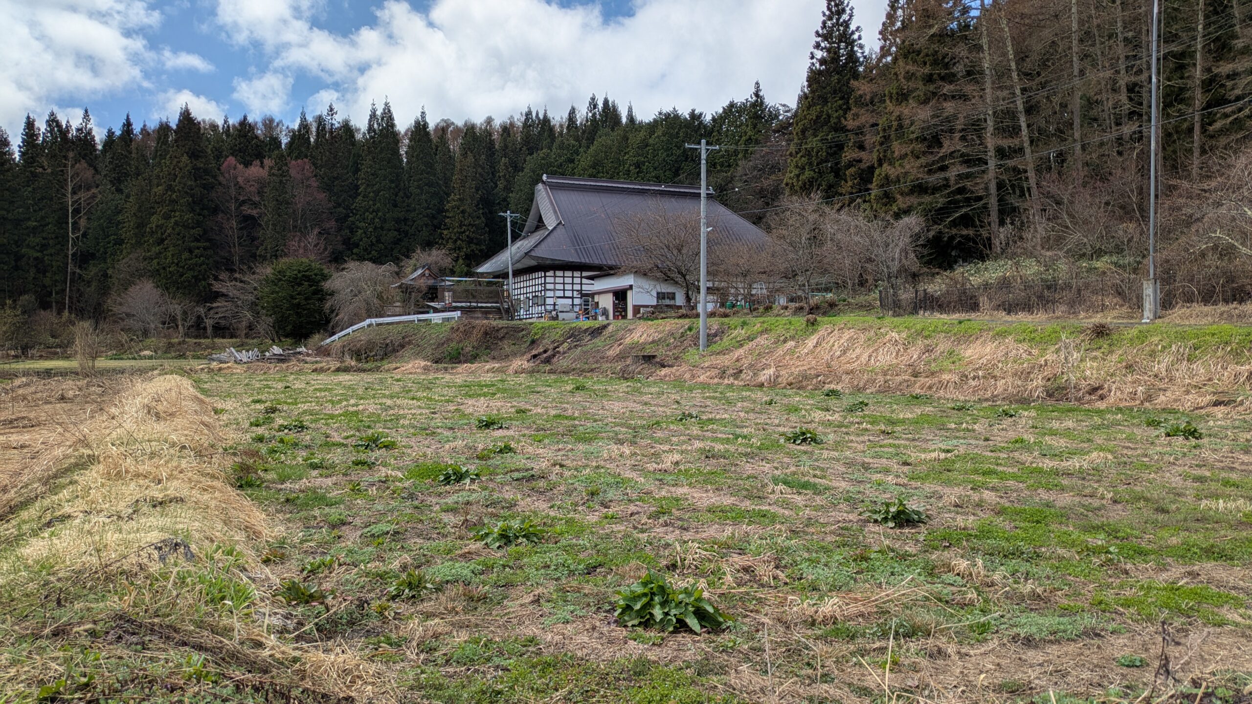 【戸隠の暮らし】種まき