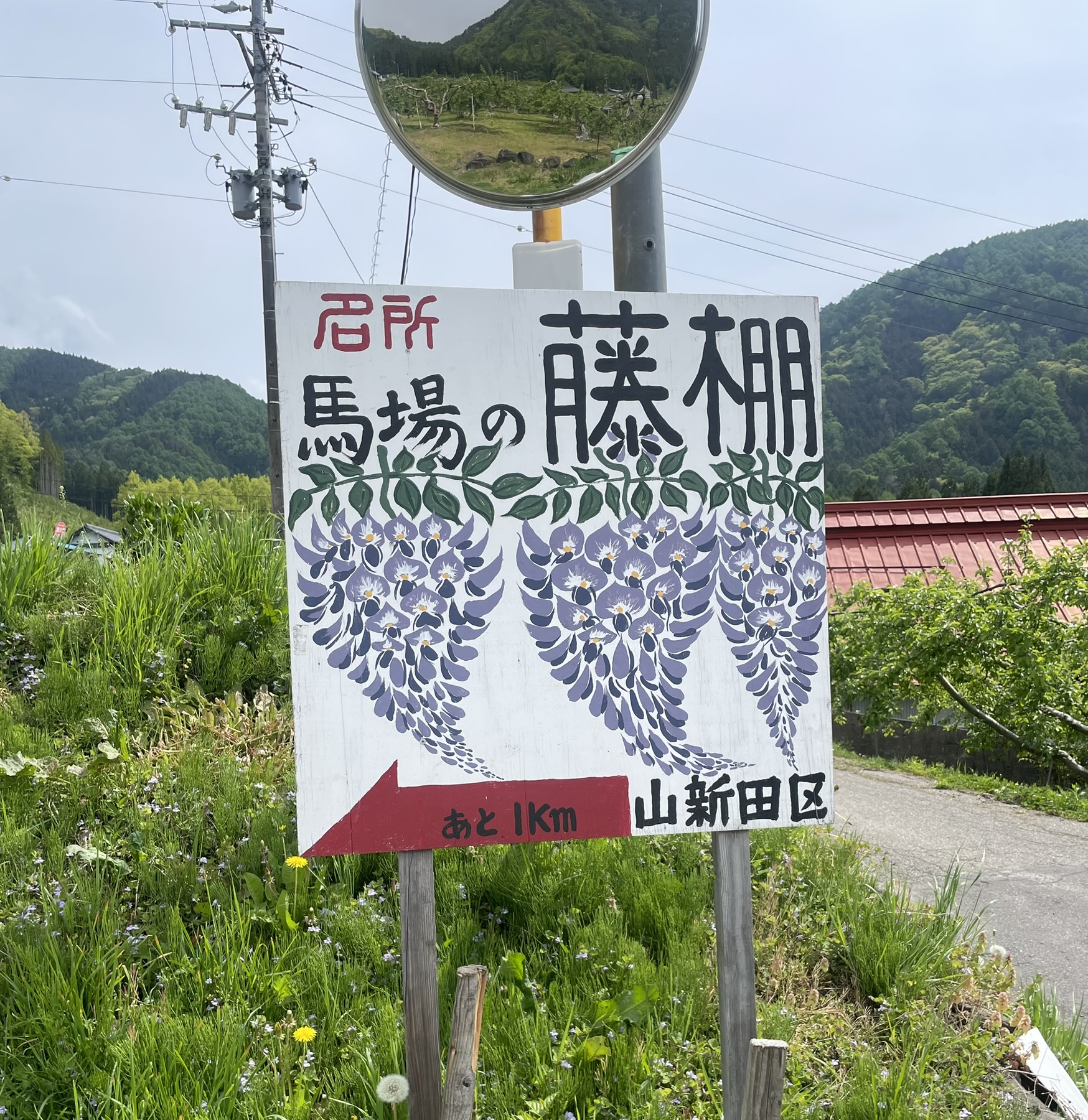 一日一善（若穂移住1年9ヶ月）
