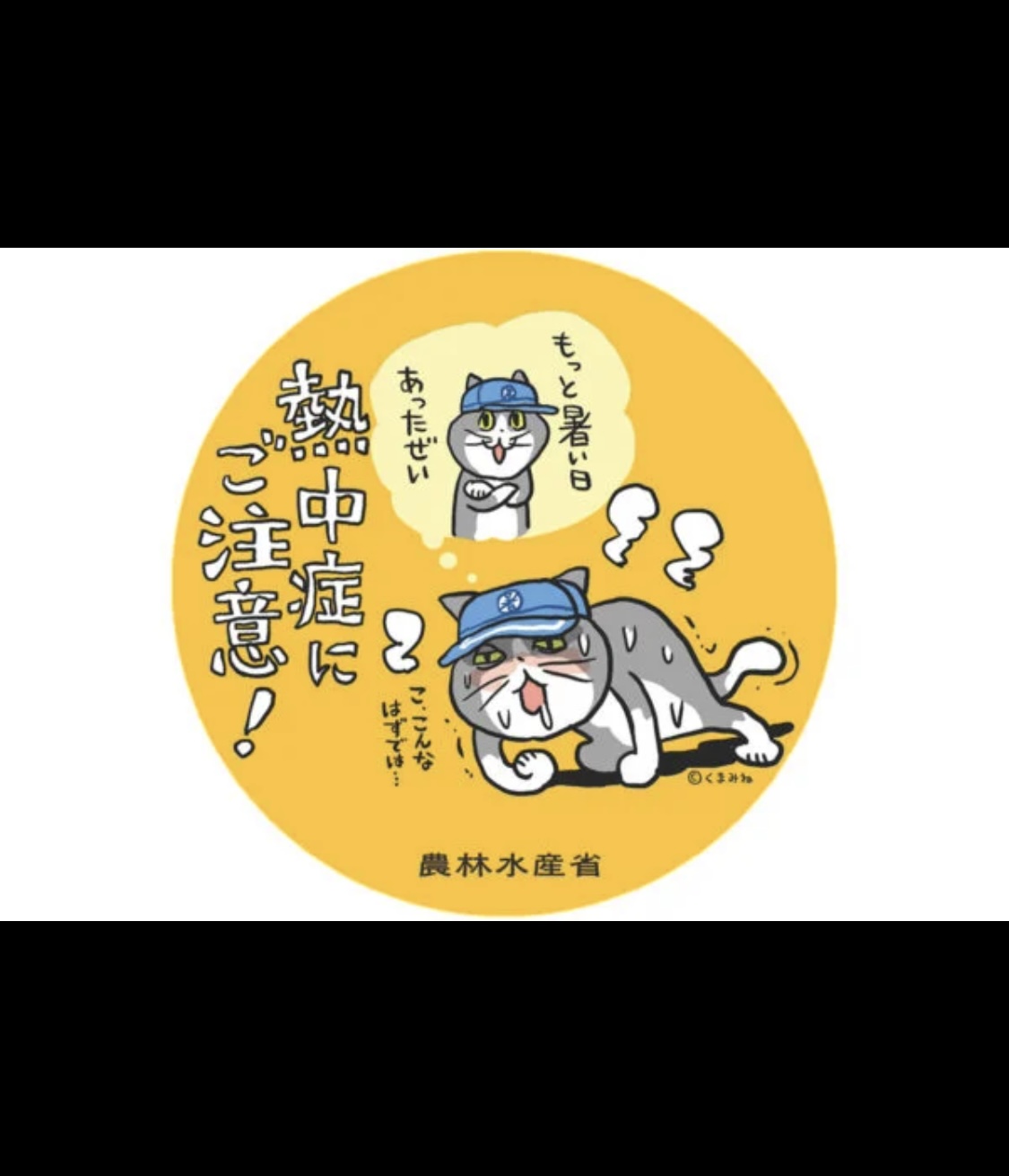 そうだ選挙行こう（若穂移住1年11カ月）