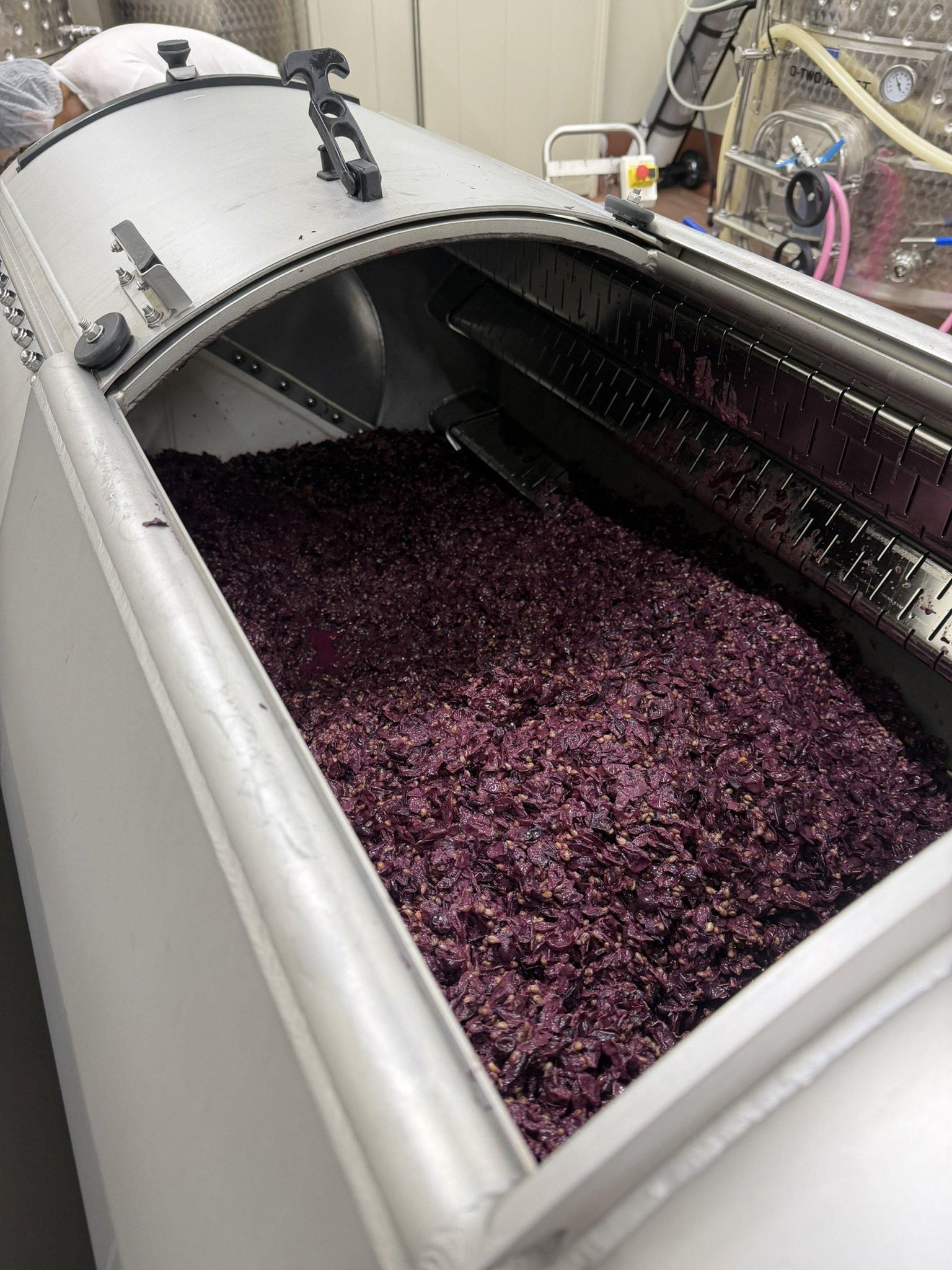 篠ノ井信里生活１年１０か月目