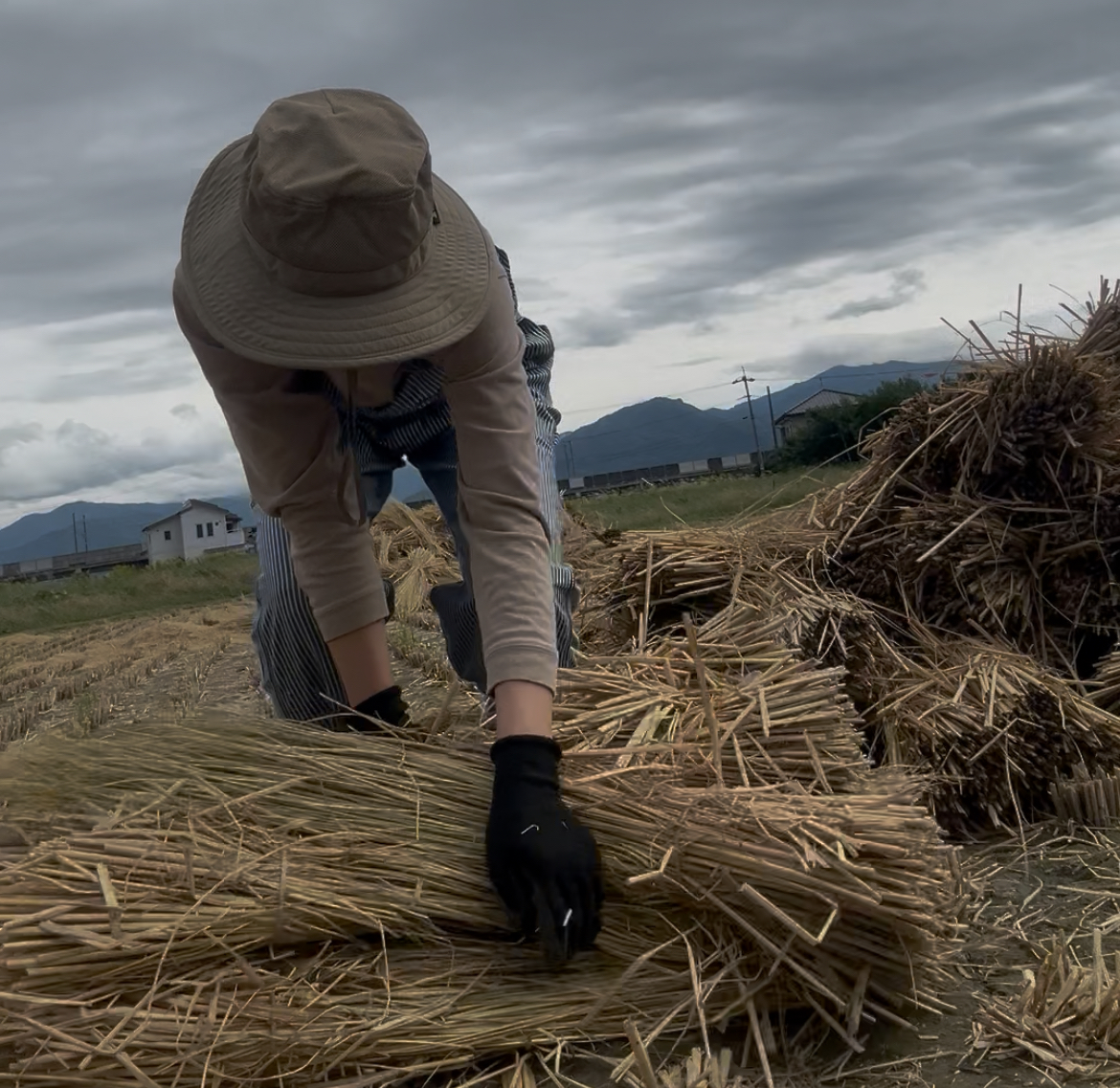 目指せ桃農家！Uターン女子の奮闘記（2025.10））