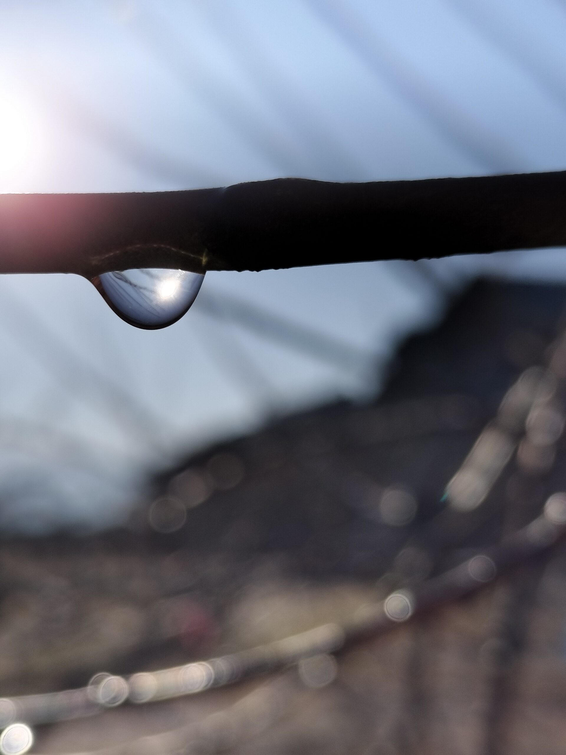 おかーちゃん、桃農家になる vol.12 ～感謝～