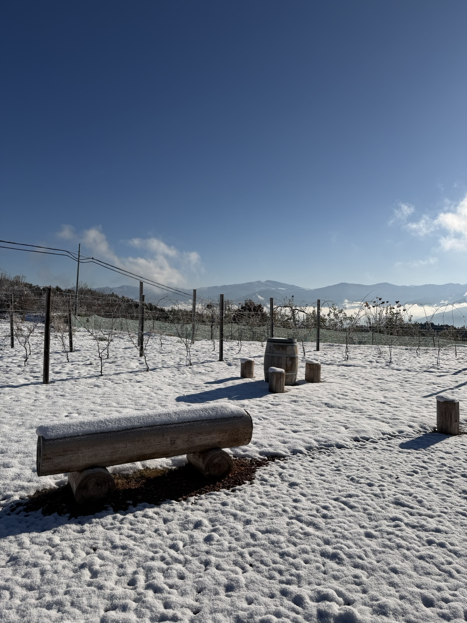 篠ノ井信里生活１年１２か月目