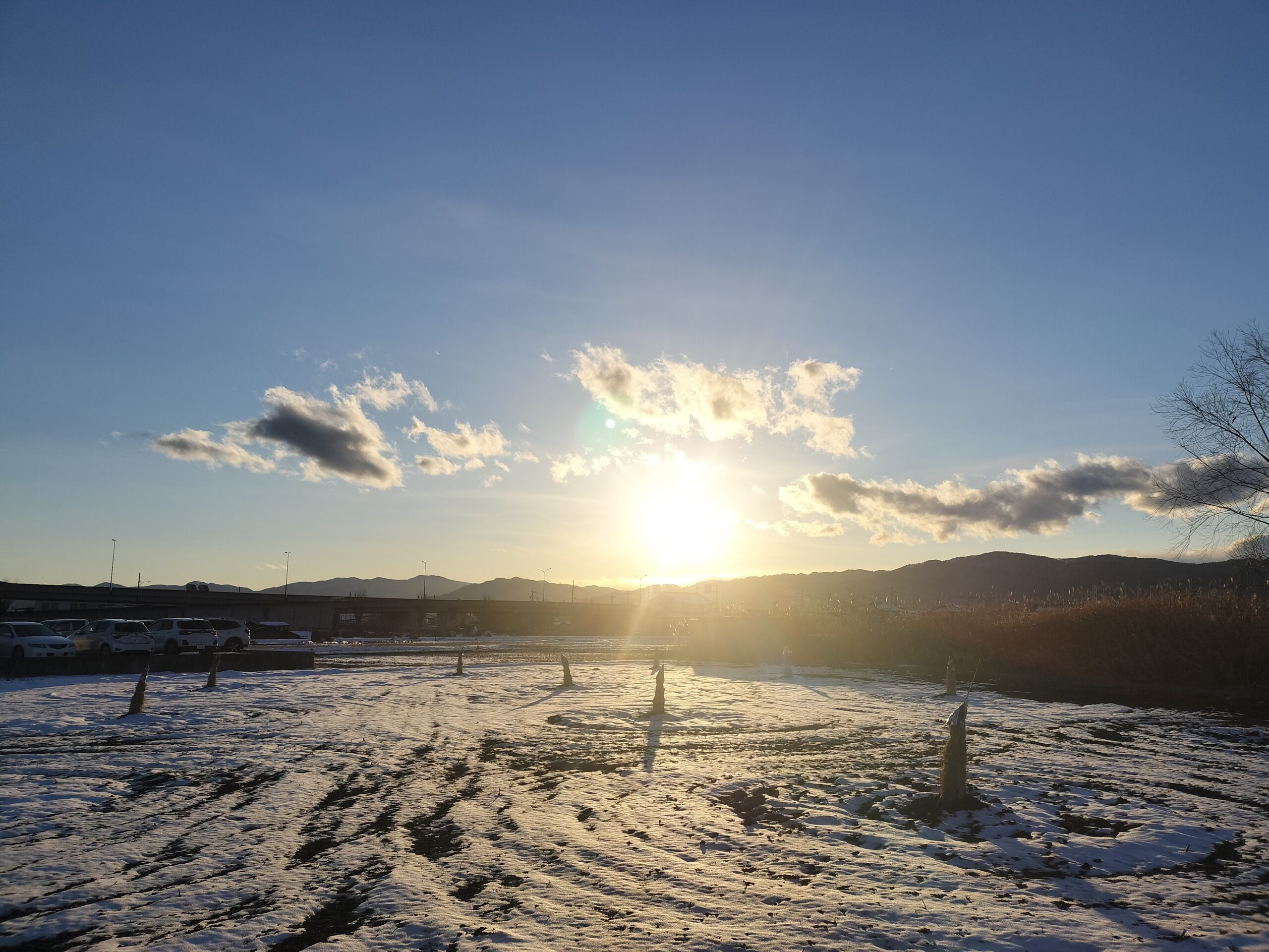 おかーちゃん、桃農家になる vol.13 〜2年目START〜