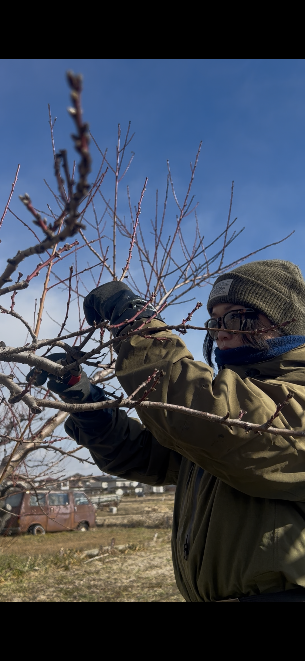 目指せ桃農家！Uターン女子の奮闘記（2026.01）