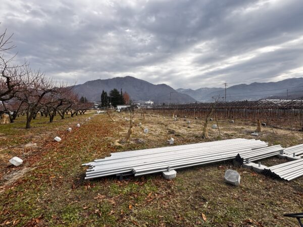 師匠の圃場で葡萄棚作り