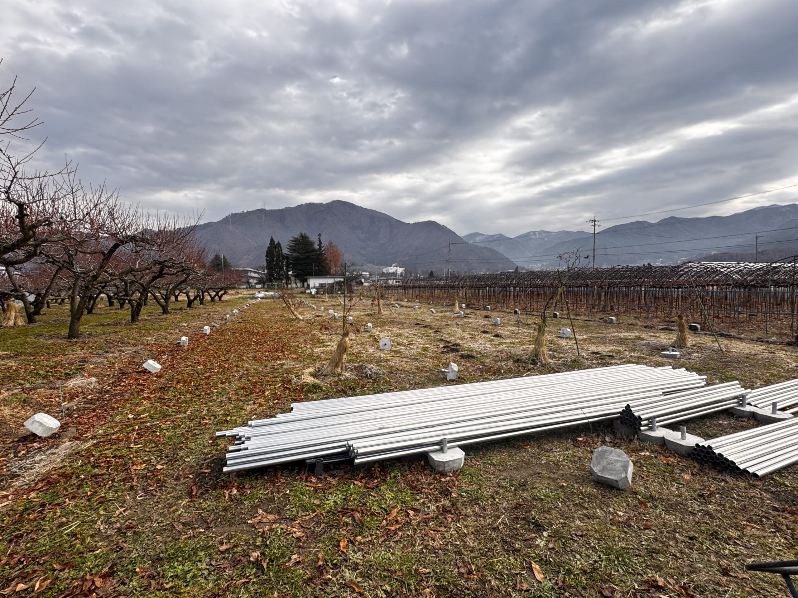 農家になる！長野市若穂移住〜3ヶ月目〜