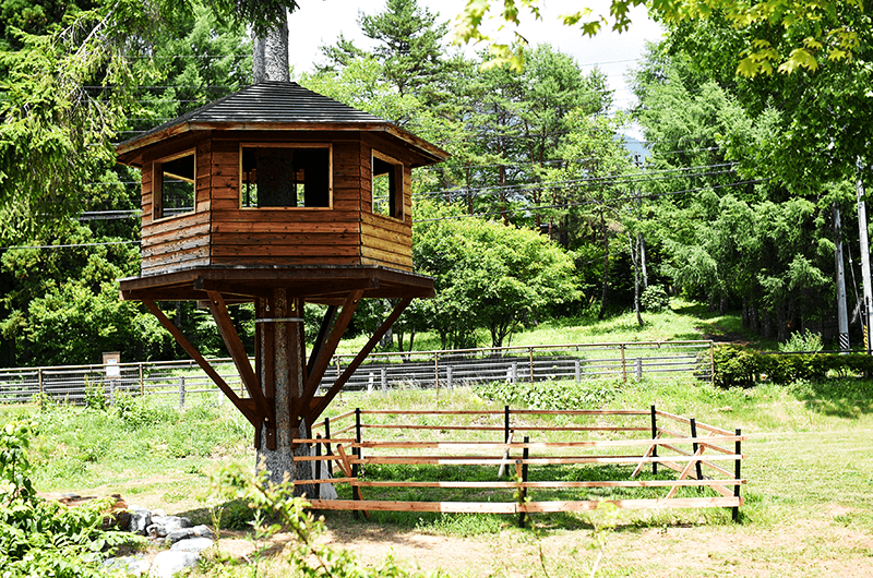 ツリーハウス周囲の木枠は「森の駅」の“ヤギの駅長”のための駅長室
