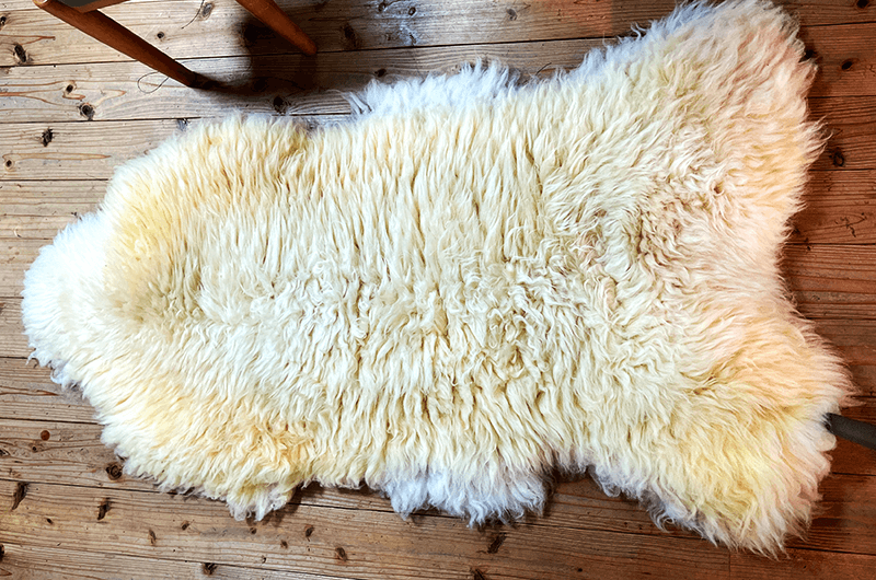 冬に出荷するサフォークは毛刈りをしないため、毛皮なめし加工や剥製加工を専門に行う新潟県胎内市の布川産業でムートンにしている